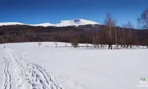 Tarnica w styczniu: czy szlak jest otwarty? Sprawdź warunki!