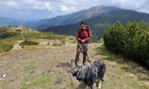 Babia Góra z psem: Co musisz wiedzieć? Uniknij mandatu!