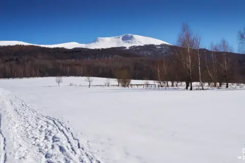 Tarnica w styczniu: czy szlak jest otwarty? Sprawdź warunki!