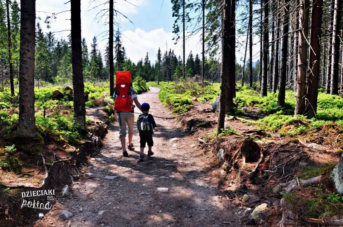Tatry dla każdego: Łatwe szlaki z Zakopanego zacznij przygodę!