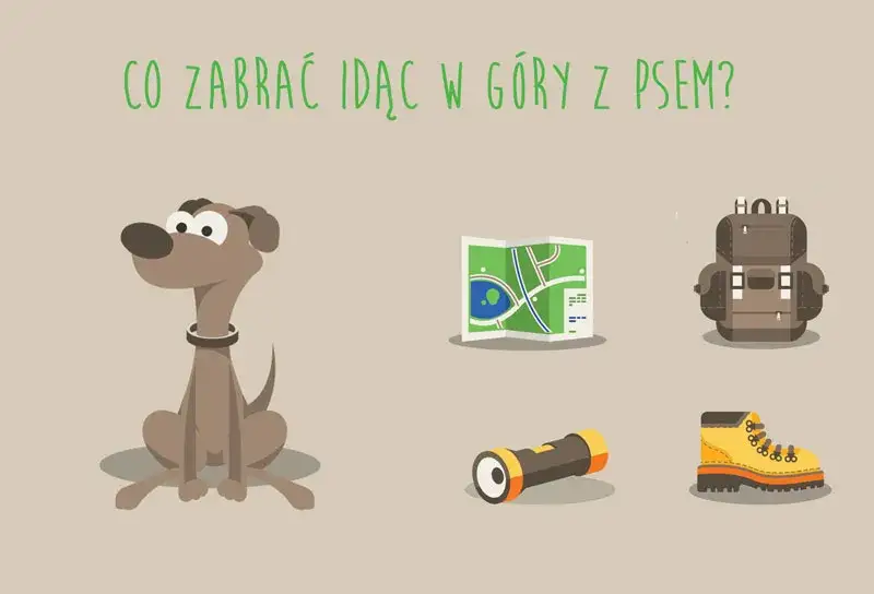 ekwipunek dla psa na wycieczkę w góry