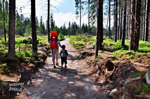 Tatry dla każdego: Łatwe szlaki z Zakopanego zacznij przygodę!