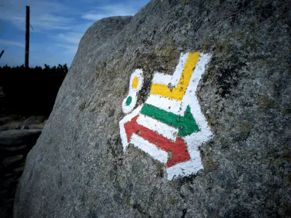 Kolorowe znaki szlaku turystycznego PTTK namalowane na kamieniu.