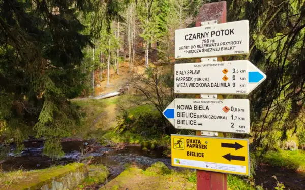 Kolory szlaków w górach: Mit czy drogowskaz? Planuj bezpiecznie!